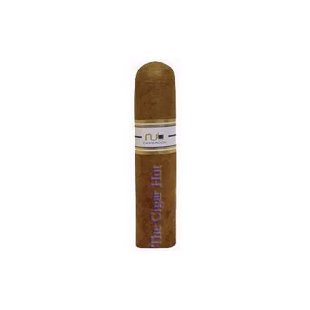 NUb Cameroon 358 - Single