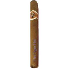 AVO XO Maestoso - Single