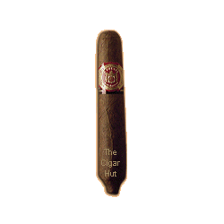 Arturo Fuente Hemingway Best Seller - Single