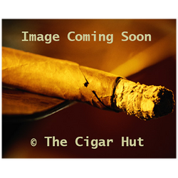 Don Rafael #67 Churchill